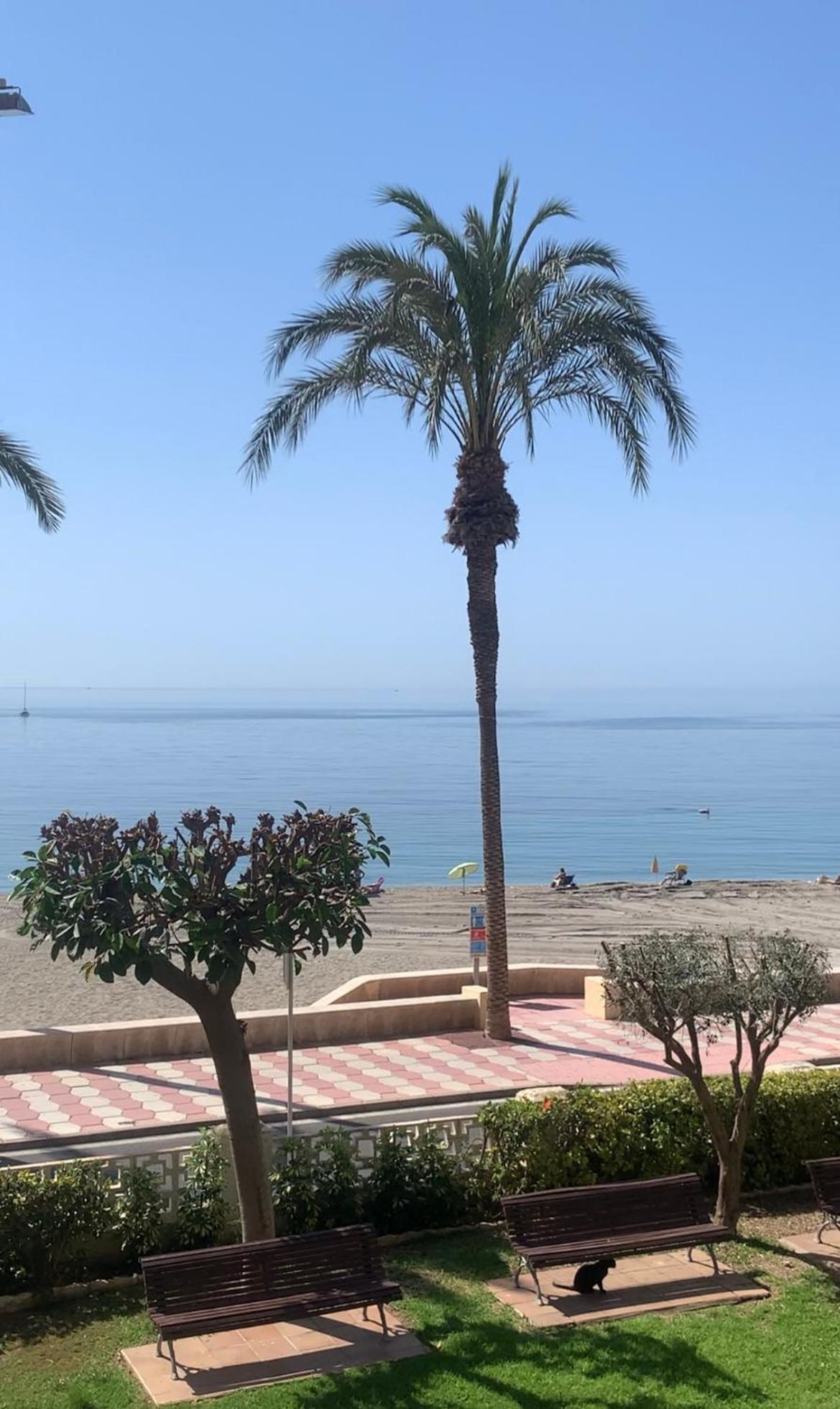 Brisas Del Mar Mediterraneo Aguadulce  Extérieur photo